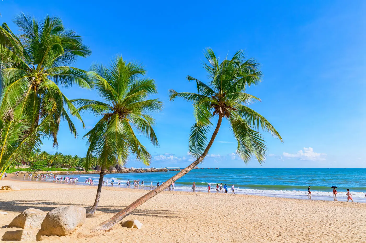 b6dab1c5ba78493484b8e7607a0aff24